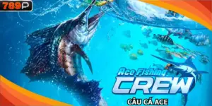 Câu cá ACE