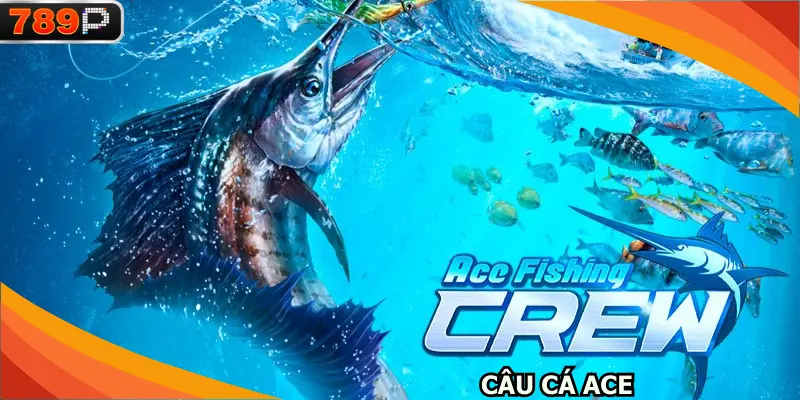 Câu cá ACE